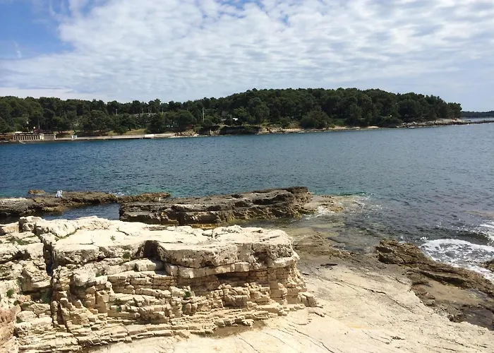 Galeb Osjecka Ulica 37 公寓 普拉