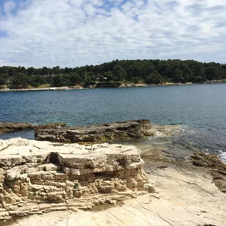 Galeb Osjecka Ulica 37 아파트 풀라